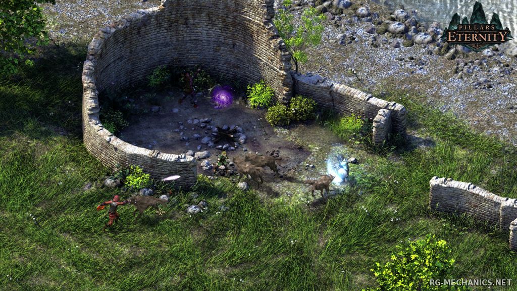 Скриншот 1 к игре Pillars of Eternity: Hero Edition [v 2.00.0706] (2015) PC | RePack от R.G. Механики